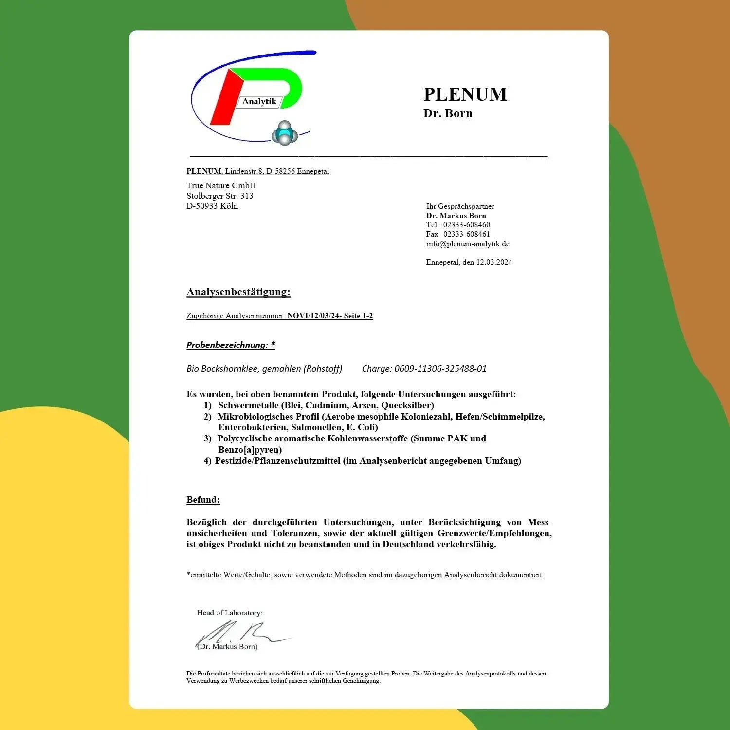 Superfood-Bundle True Nature