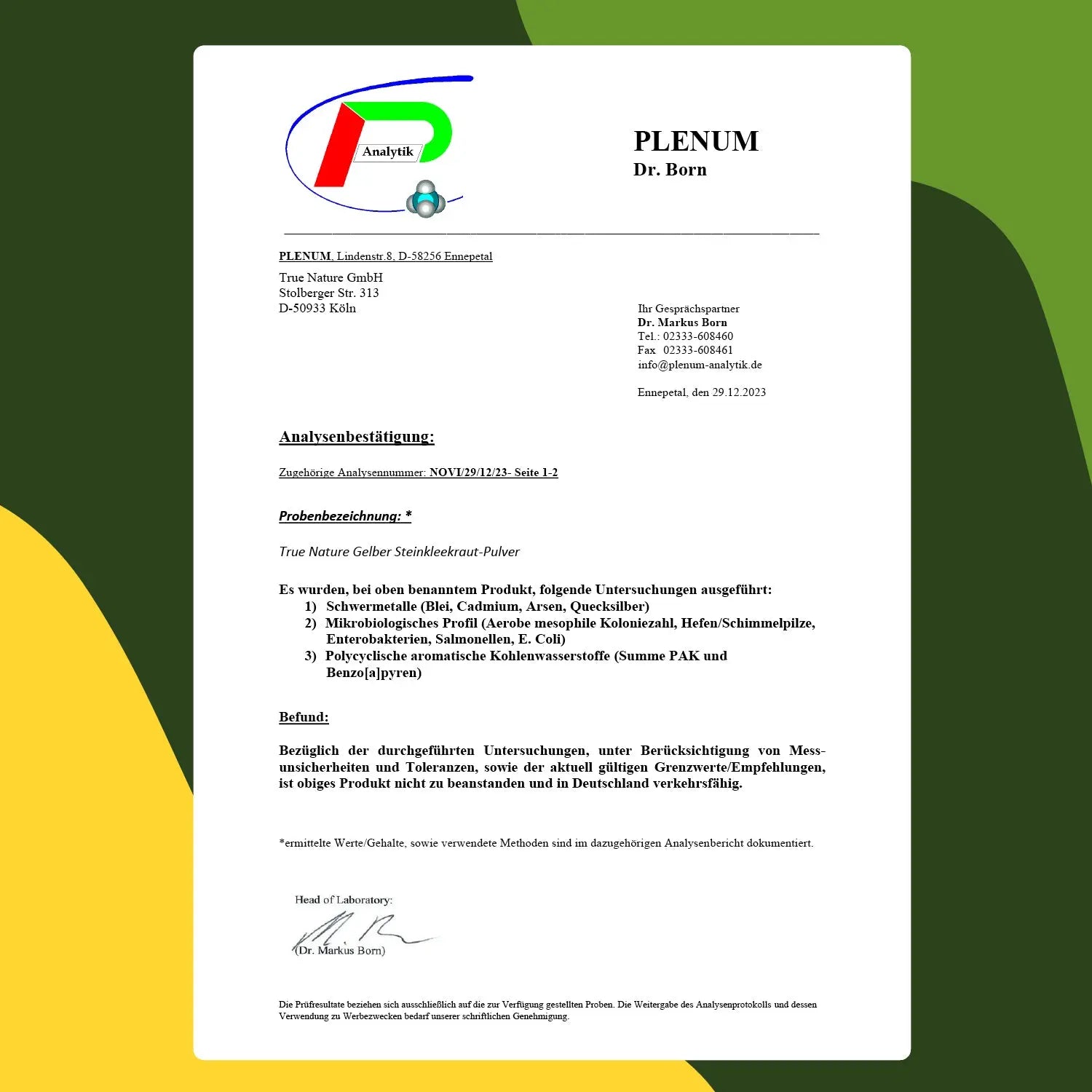 Steinklee Kapseln Vitamine & Nahrungsergänzungsmittel True Nature