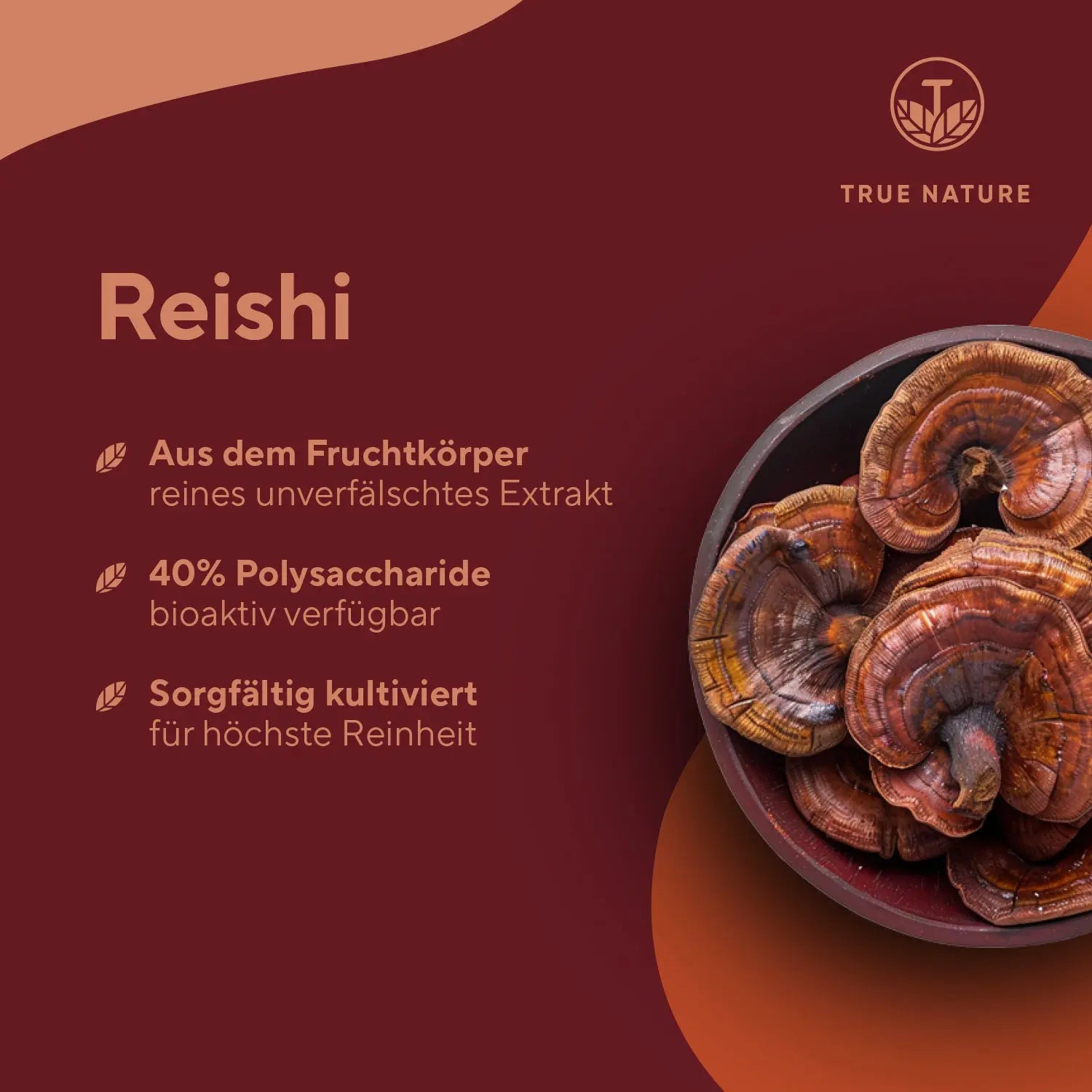 Vitalpilz Power - Für SZ Leser True Nature