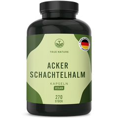 Ackerschachtelhalm