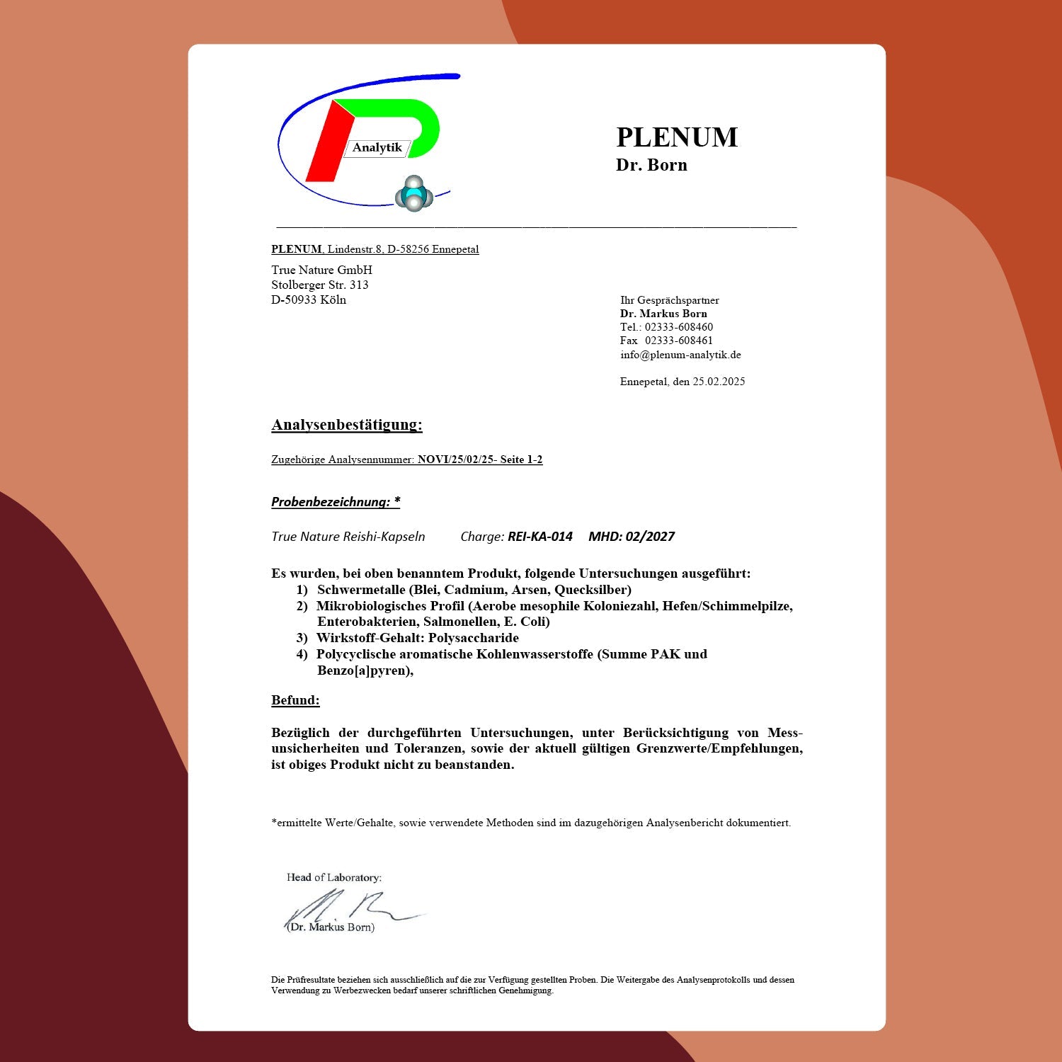 Reishi Pilz Extrakt hochdosierte Kapseln Gesundheit > Vitamine & Nahrungsergänzungsmittel > Pflanzliche Nahrungsergänzungsmittel > Vitalpilze > Polysaccharidreiche Pilzprodukte > Reishi Pilz Extrakt True Nature
