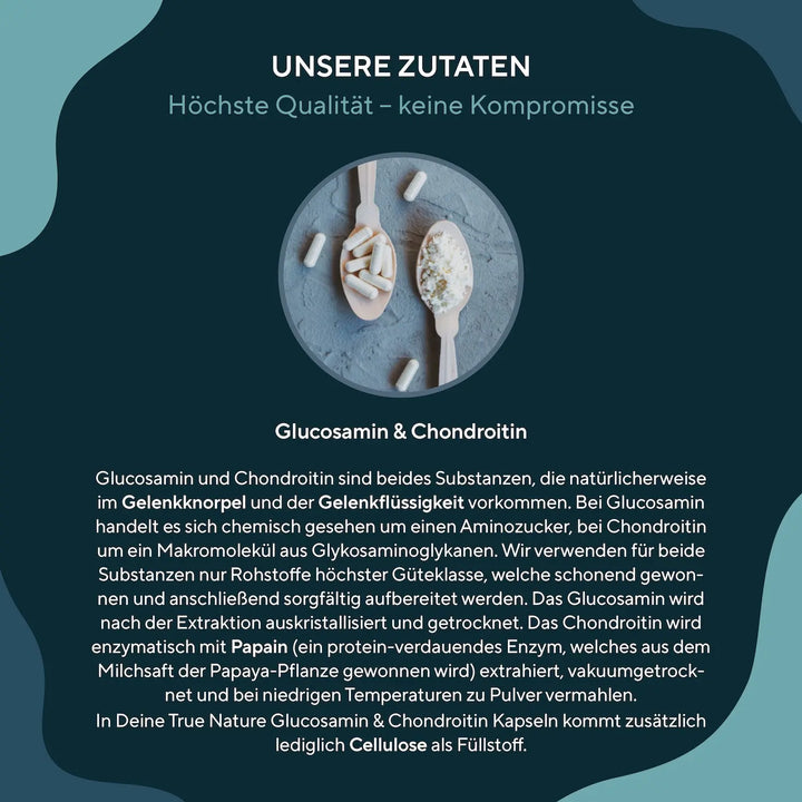 Glucosamin Chondroitin hochdosierte Kapseln - Zutaten und Inhaltsstoffe