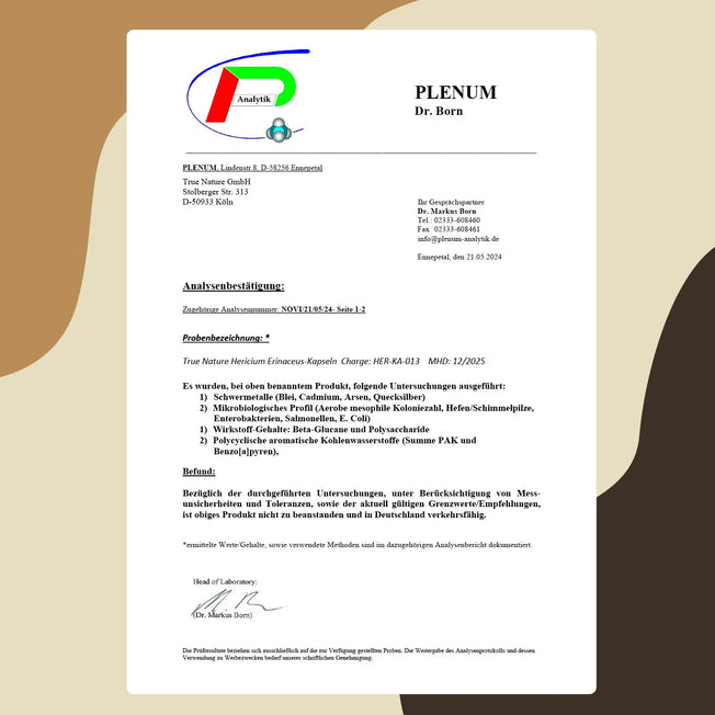 Hericium Erinaceus (Lions Mane) Kapseln Gesundheit > Vitamine & Nahrungsergänzungsmittel > Pflanzliche Nahrungsergänzungsmittel > Vitalpilze > Lion’s Mane (Hericium) Kapseln True Nature