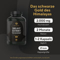 Shilajit Extrakt Kapseln Gesundheit & Schönheit > Vitamine & Nahrungsergänzungsmittel > Energie & Vitalität > Pflanzliche Adaptogene > Shilajit Nahrungsergänzungsmittel > Shilajit Extrakt Kapseln True Nature