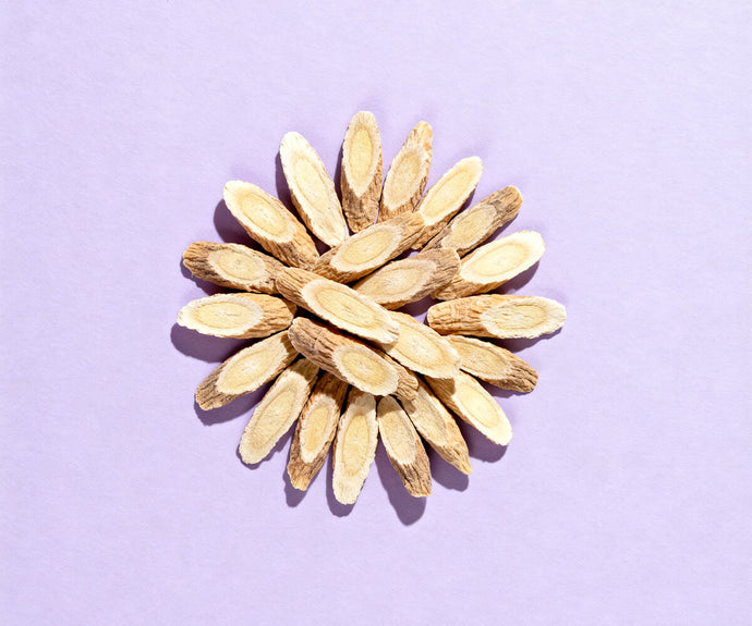 Bio Astragalus Wurzelpulver