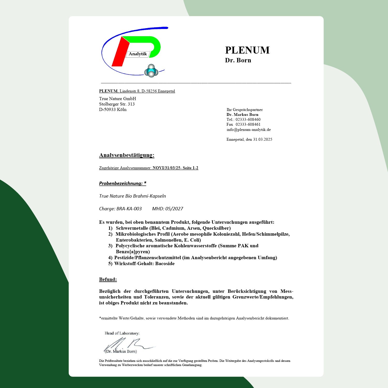 Bio Brahmi Kapseln Vitamine & Nahrungsergänzungsmittel True Nature