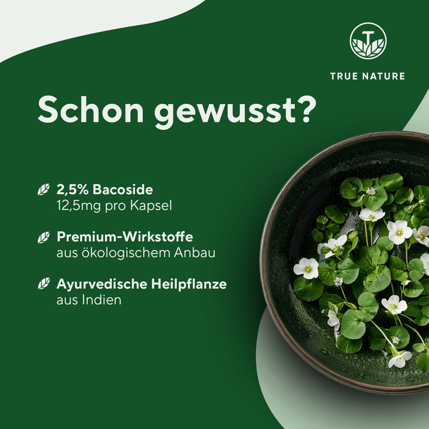 BiotivaBrahmi S - 150 S - 500mg Per - Bacopa Monnieri - Of - Foto 5