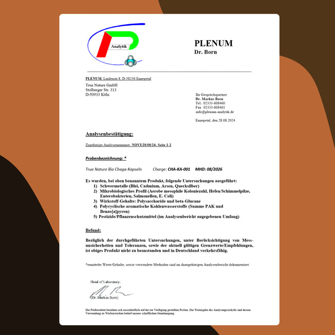 Bio Chaga Pilz Extrakt Vitamine & Nahrungsergänzungsmittel True Nature   