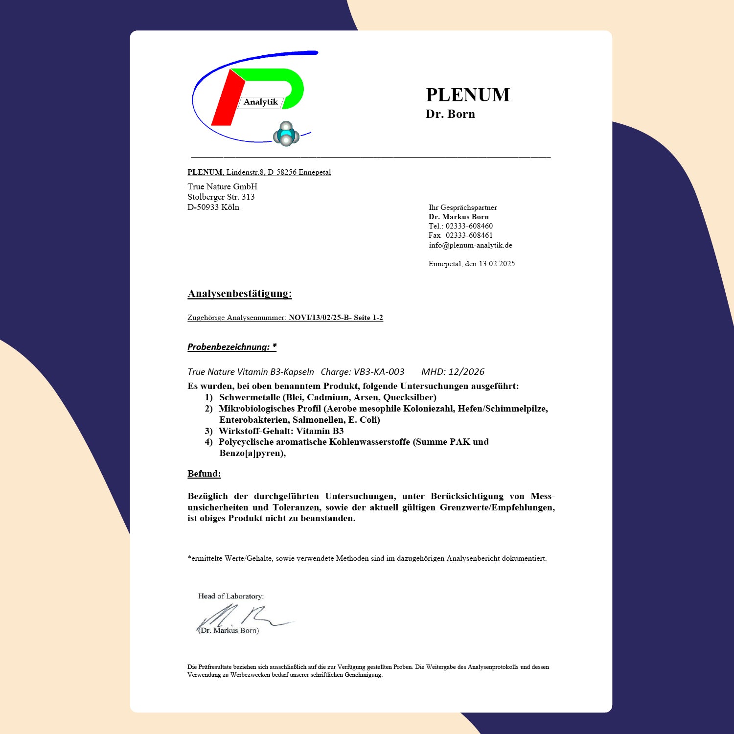 Vitamin B3 Kapseln Vitamine & Nahrungsergänzungsmittel True Nature