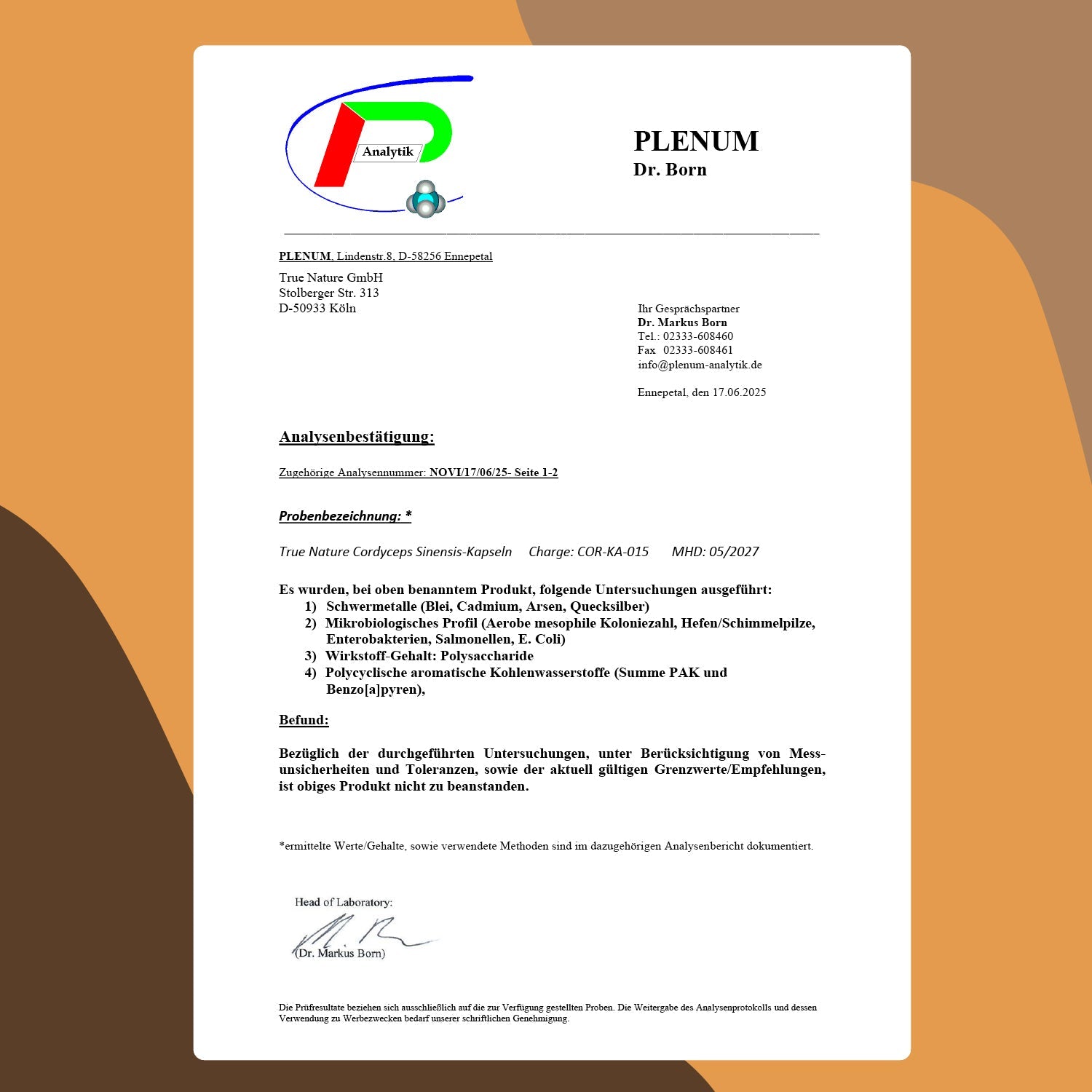Cordyceps Sinensis Kapseln Gesundheit > Vitamine & Nahrungsergänzungsmittel > Pflanzliche Nahrungsergänzungsmittel > Vitalpilze > Energie & Ausdauer > Cordyceps Sinensis Kapseln True Nature