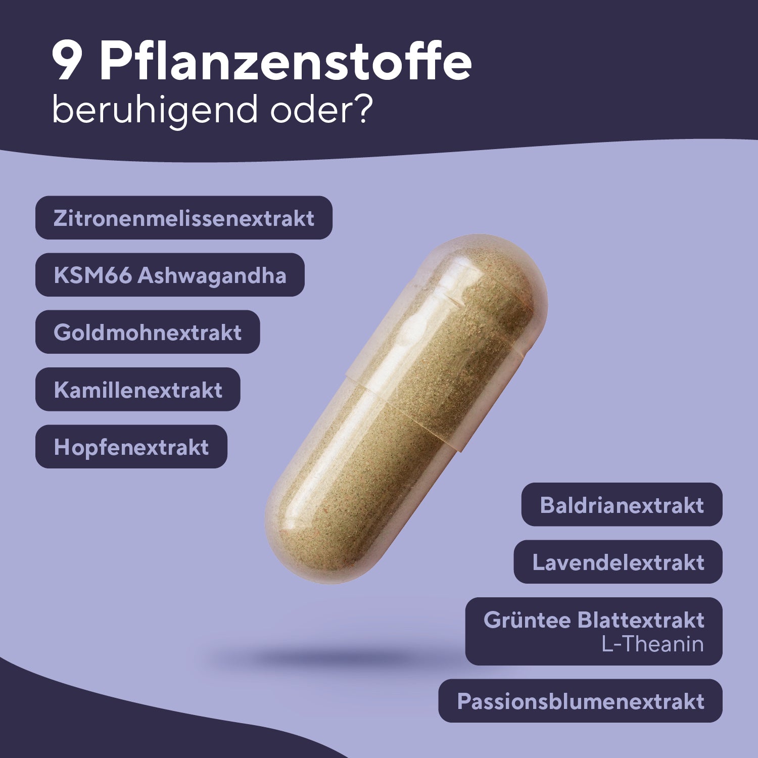 Daily Sleep Schlafkapseln True Nature