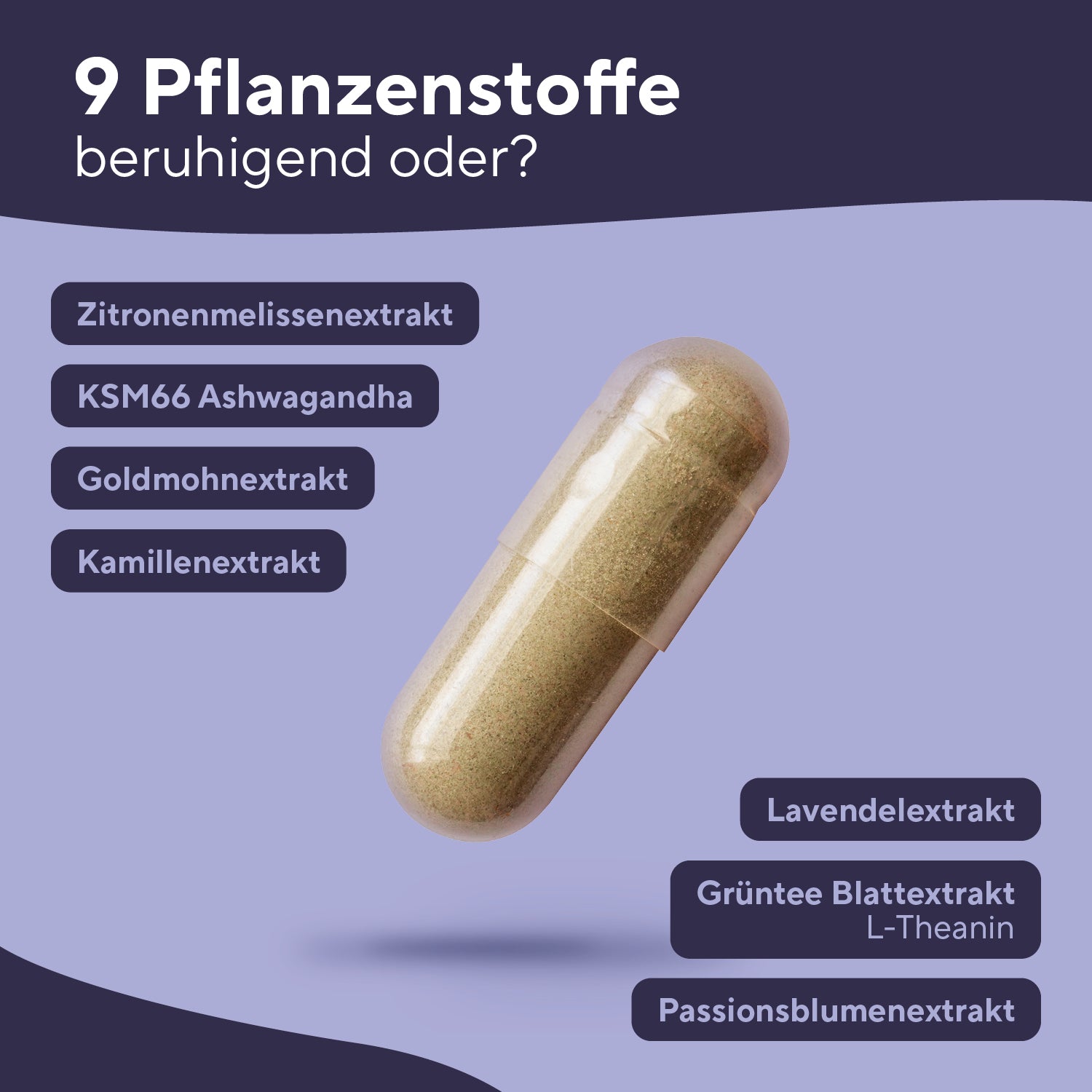 TEST NIKOLAY Daily Sleep Schlafkapseln free True Nature