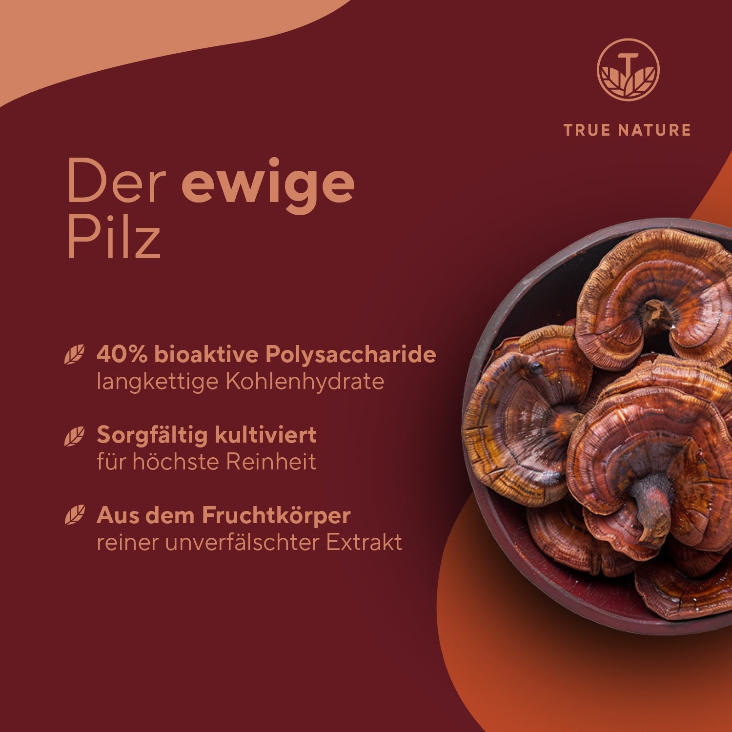 Reishi Pilz Extrakt hochdosierte Kapseln Gesundheit > Vitamine & Nahrungsergänzungsmittel > Pflanzliche Nahrungsergänzungsmittel > Vitalpilze > Polysaccharidreiche Pilzprodukte > Reishi Pilz Extrakt True Nature