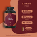 Reishi Pilz Extrakt hochdosierte Kapseln Gesundheit > Vitamine & Nahrungsergänzungsmittel > Pflanzliche Nahrungsergänzungsmittel > Vitalpilze > Polysaccharidreiche Pilzprodukte > Reishi Pilz Extrakt True Nature