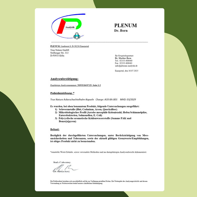 Ackerschachtelhalm Vitamine & Nahrungsergänzungsmittel True Nature