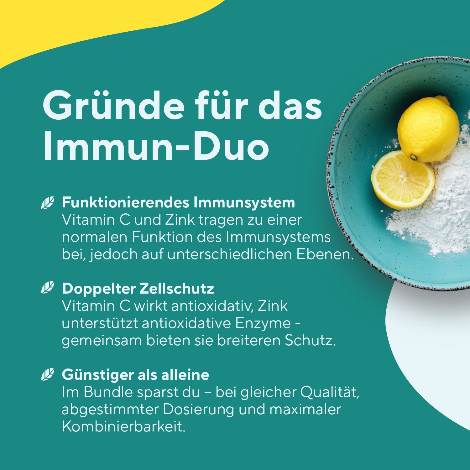 Immun-Duo Zink+C True Nature