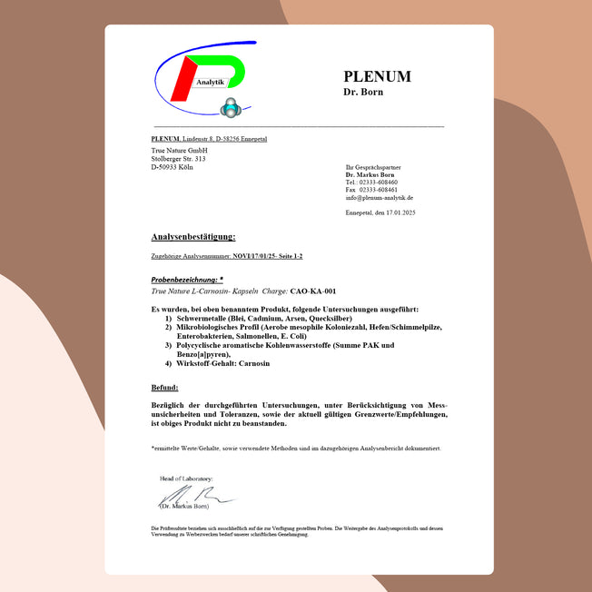L-Carnosin Kapseln Vitamine & Nahrungsergänzungsmittel True Nature