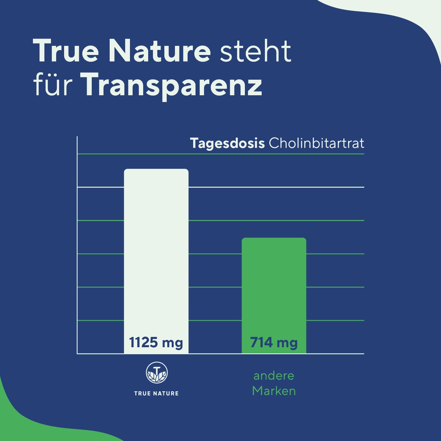 Cholin Bitartrat Kapseln Vitamine & Nahrungsergänzungsmittel True Nature