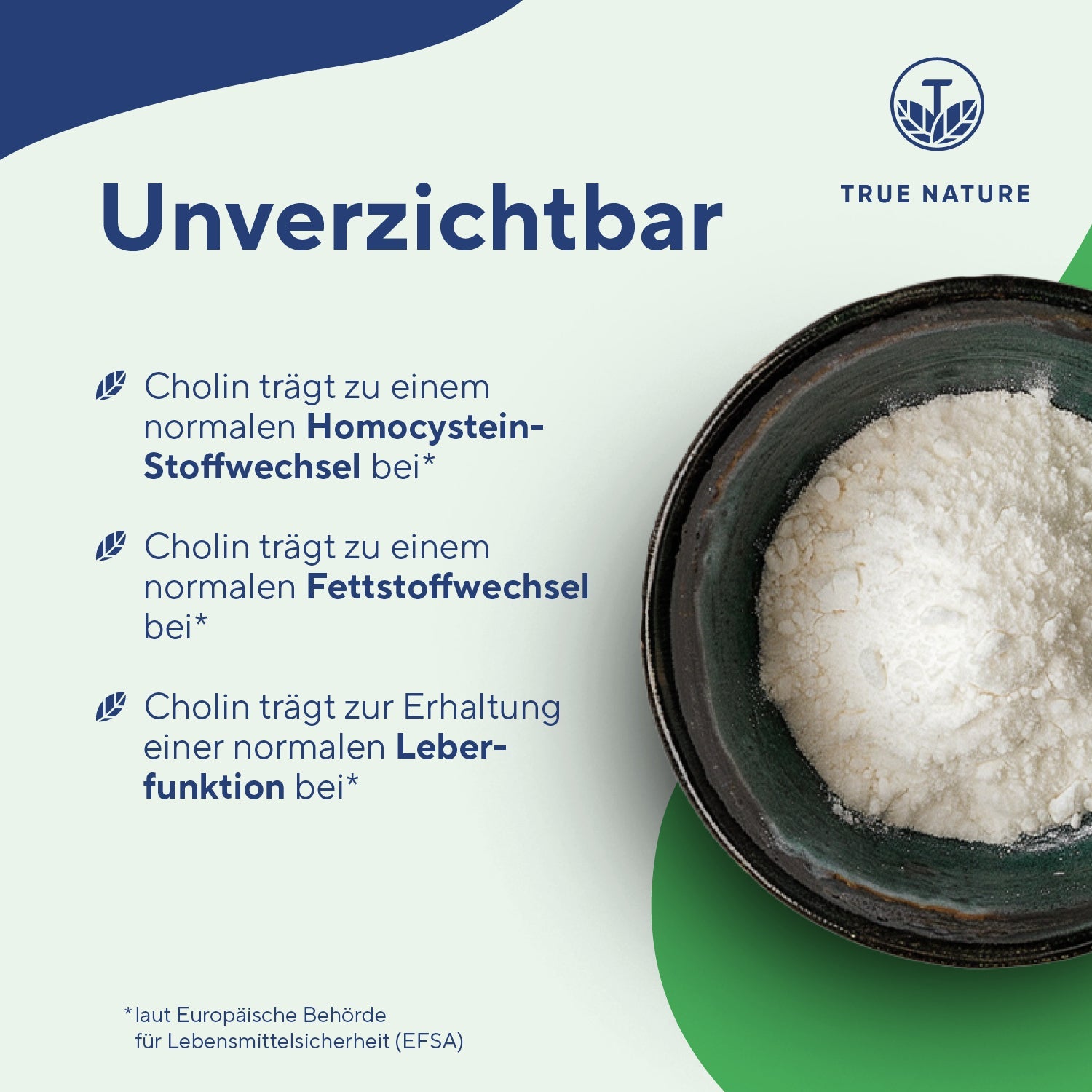 Cholin Bitartrat Kapseln Vitamine & Nahrungsergänzungsmittel True Nature