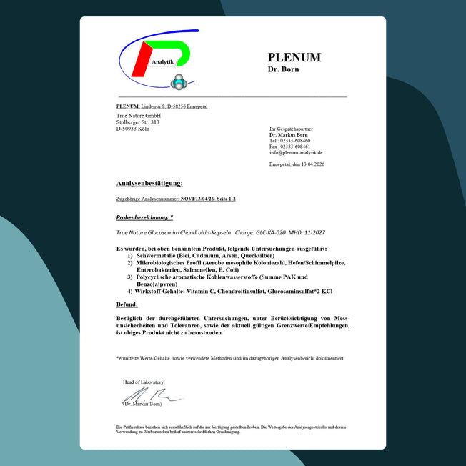 Glucosamin Chondroitin hochdosierte Kapseln True Nature