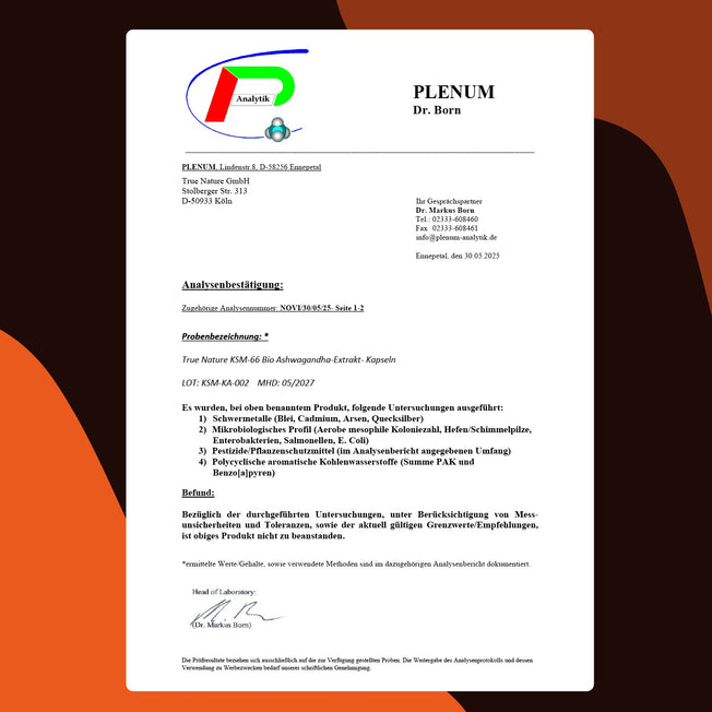 Bio Ashwagandha KSM 66 Extrakt Kapseln Gesundheit > Vitamine & Nahrungsergänzungsmittel > Körper & Balance > Pflanzliche Nahrungsergänzungsmittel > Ashwagandha Extrakte > Bio Ashwagandha KSM-66 Kapseln True Nature