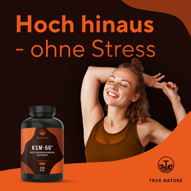 Bio Ashwagandha KSM 66 Extrakt Kapseln Gesundheit > Vitamine & Nahrungsergänzungsmittel > Körper & Balance > Pflanzliche Nahrungsergänzungsmittel > Ashwagandha Extrakte > Bio Ashwagandha KSM-66 Kapseln True Nature