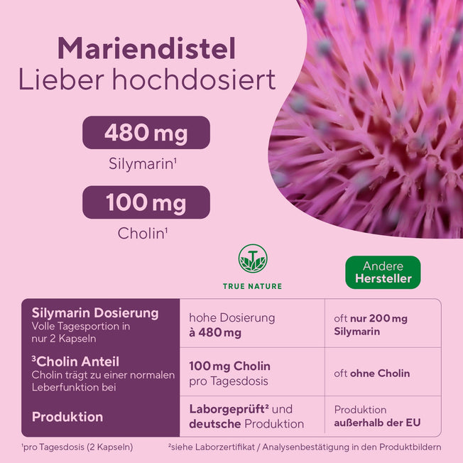 Leber¹ Komplex Kapseln Gesundheit & Schönheit > Nahrungsergänzung > Leberunterstützung True Nature