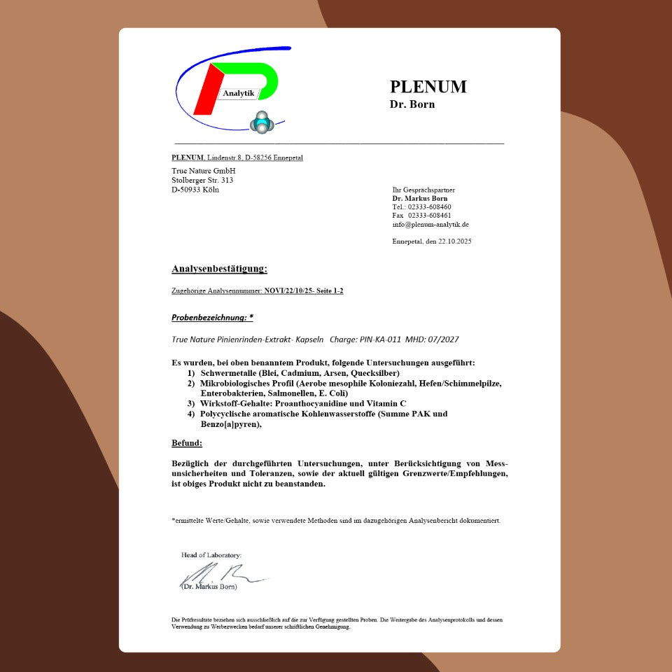 Pinienrindenextrakt hochdosierte Kapseln Vitamine & Nahrungsergänzungsmittel True Nature