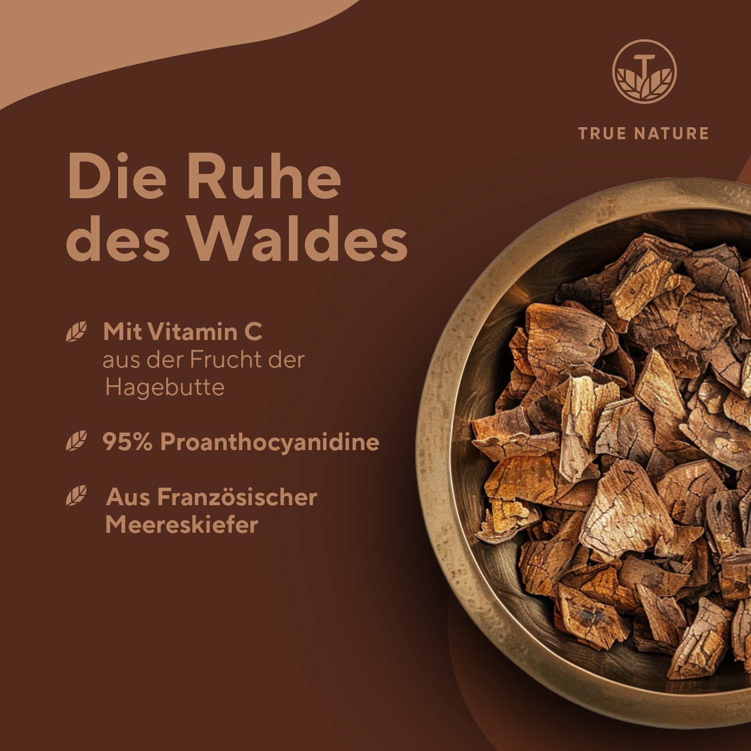 Pinienrindenextrakt hochdosierte Kapseln Vitamine & Nahrungsergänzungsmittel True Nature