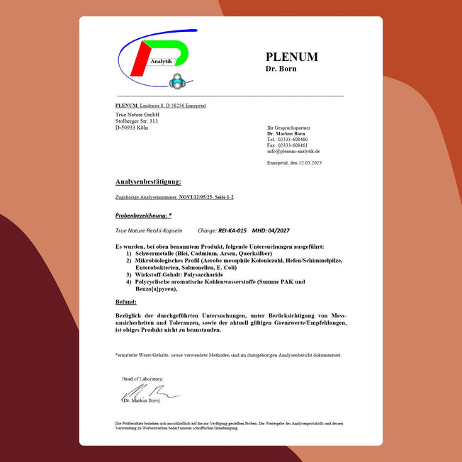 Reishi Pilz Extrakt hochdosierte Kapseln Gesundheit > Vitamine & Nahrungsergänzungsmittel > Pflanzliche Nahrungsergänzungsmittel > Vitalpilze > Polysaccharidreiche Pilzprodukte > Reishi Pilz Extrakt True Nature