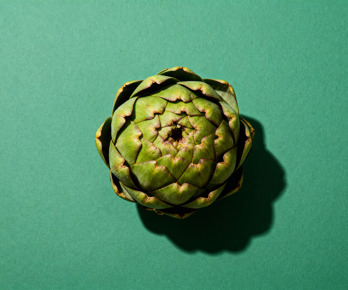 Artischocken Extrakt