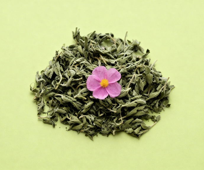 Bio Cistus Incanus Blattpulver