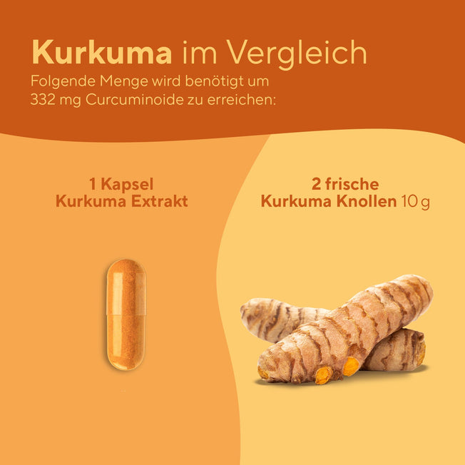 Kurkuma Extrakt Kapseln Gesundheit > Vitamine & Nahrungsergänzungsmittel > Sport & Gelenke > Gelenkunterstützung > Entzündungshemmende Pflanzenstoffe > Curcuma Extrakt & Piperin Kapseln True Nature