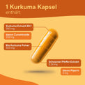 Kurkuma Extrakt Kapseln Gesundheit > Vitamine & Nahrungsergänzungsmittel > Sport & Gelenke > Gelenkunterstützung > Entzündungshemmende Pflanzenstoffe > Curcuma Extrakt & Piperin Kapseln True Nature