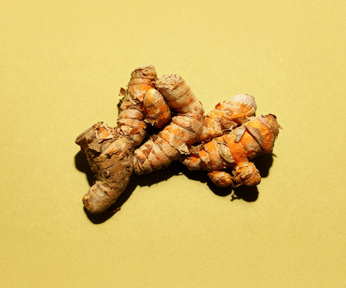 Curcuma Extrakt 30:1