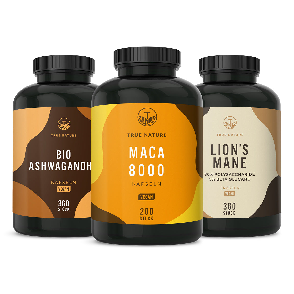 Focused Mind True Nature