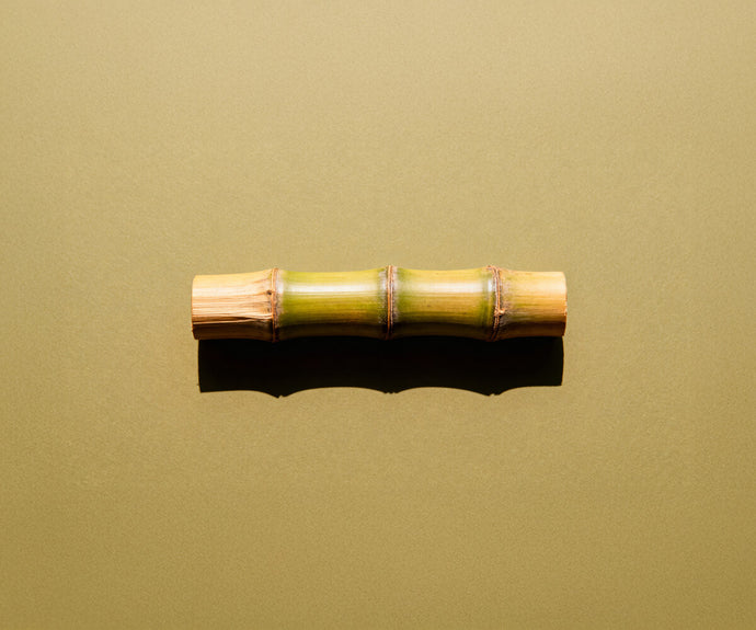 Bambusextrakt (Silizium)