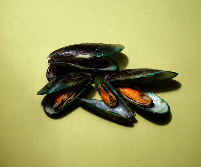 Grünlippmuschel Pulver