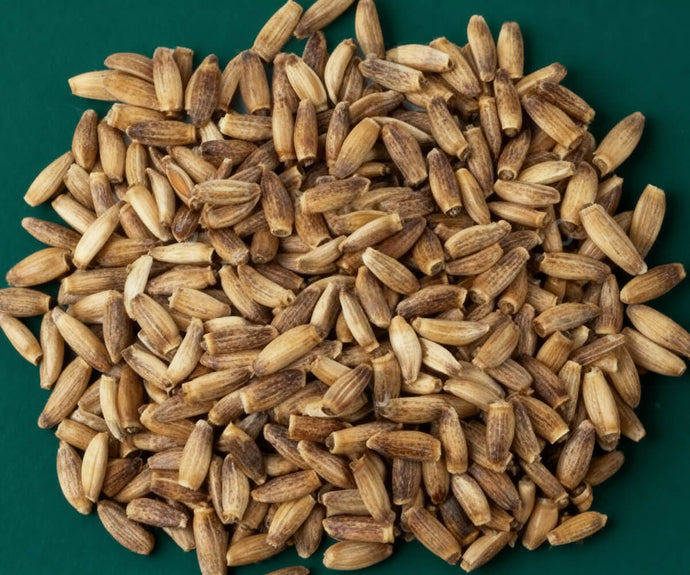 Mariendistel Extrakt 25:1